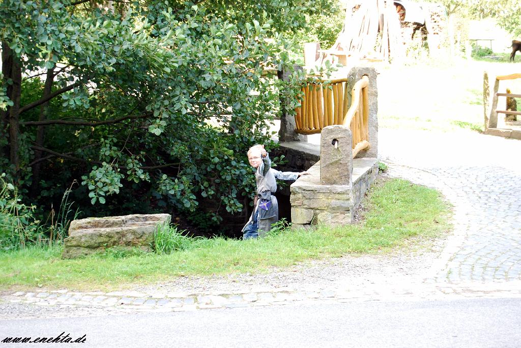 Vermaehlung von Liara und Rayek vom 04.09.2010-295.jpg